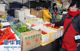 從海南到北京 蔬菜千里運(yùn)銷，一斤僅賺一毛四的農(nóng)產(chǎn)品生產(chǎn)鏈透視