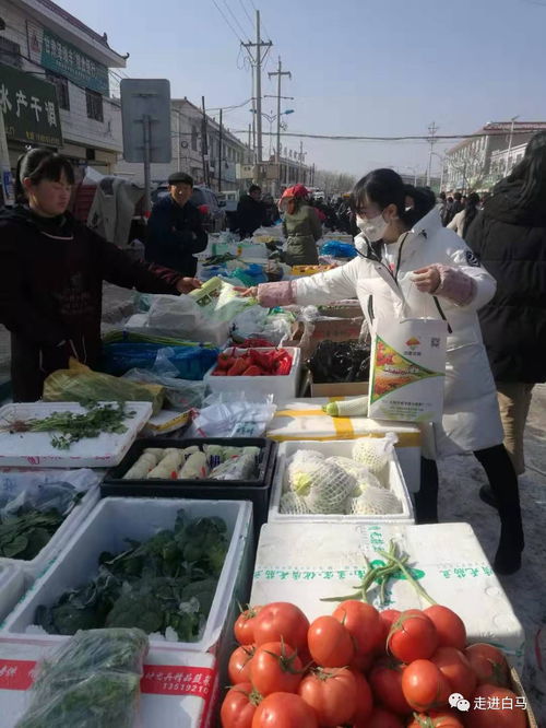 白馬鋪鎮多措并舉，全力保障春節期間農產品質量安全