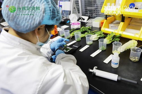 B2B食材生意樣本 永輝彩食鮮如何重塑農產品供應鏈