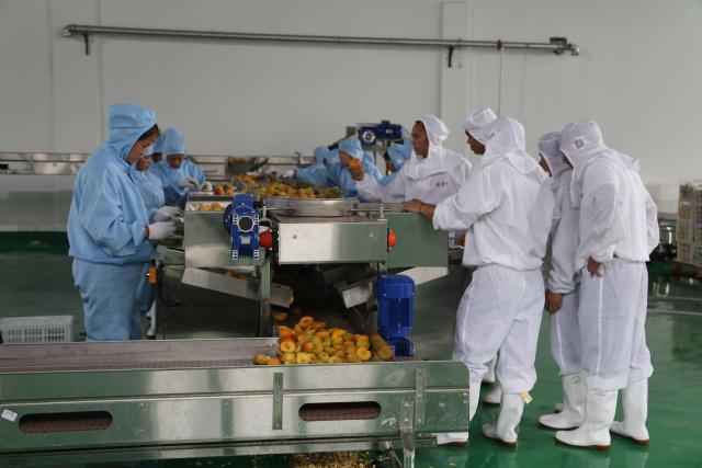 三都 推進農產品深加工 助力脫貧攻堅的實踐與思考